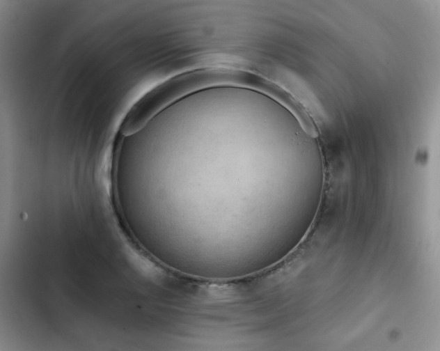 X0000102831128200808181317