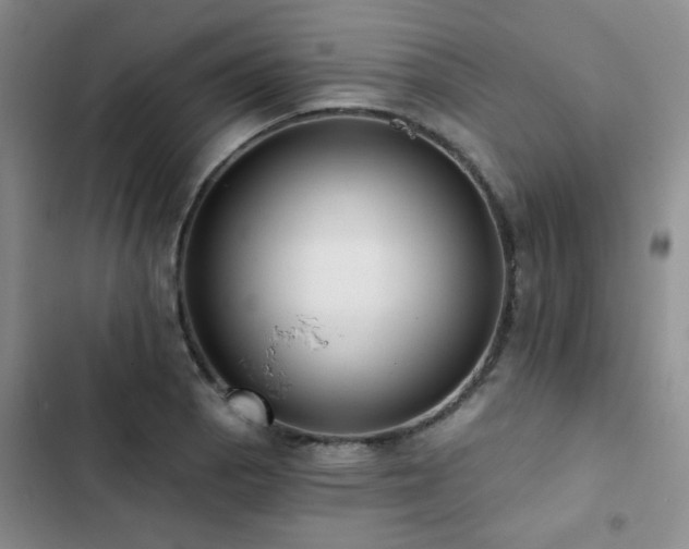 X0000102831129200808181317