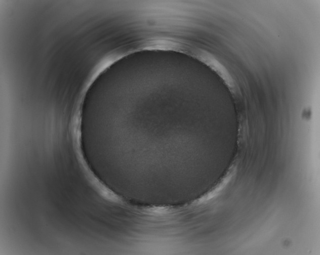 X0000102831130200808181317