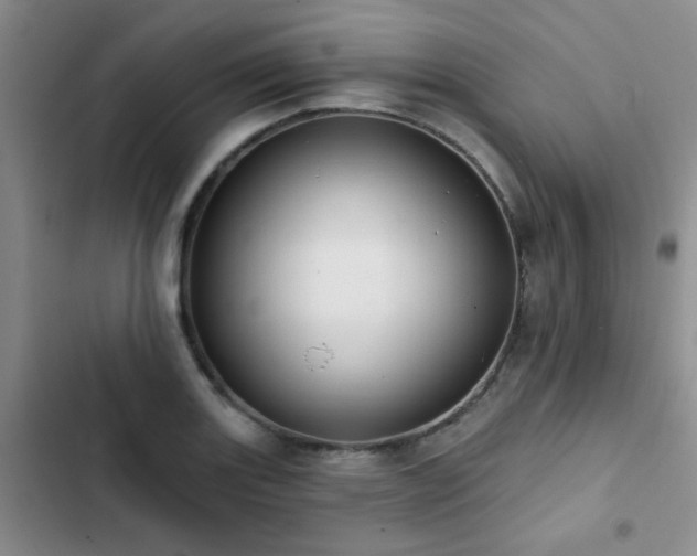 X0000102831131200808181318