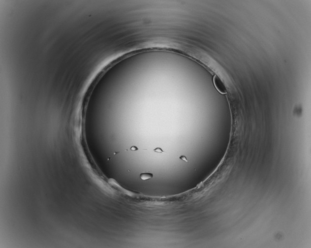 X0000102831132200808181318