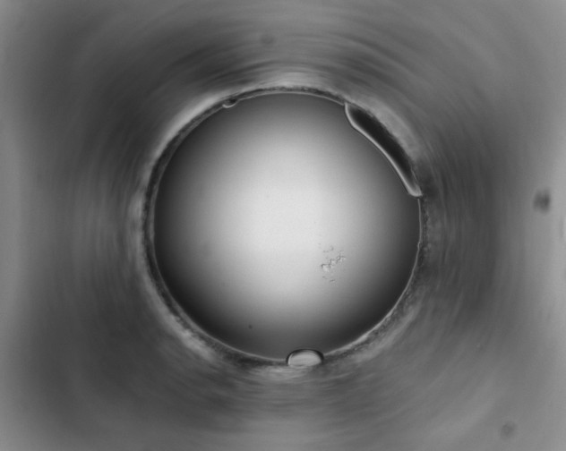 X0000102831134200808181318