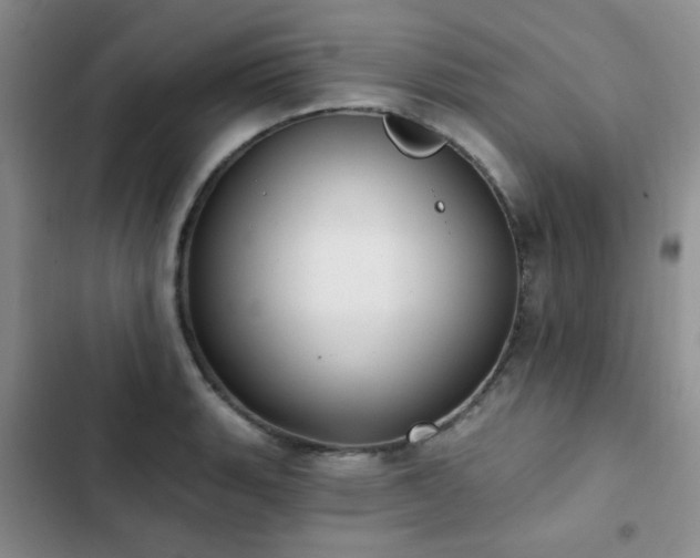 X0000102831135200808181318