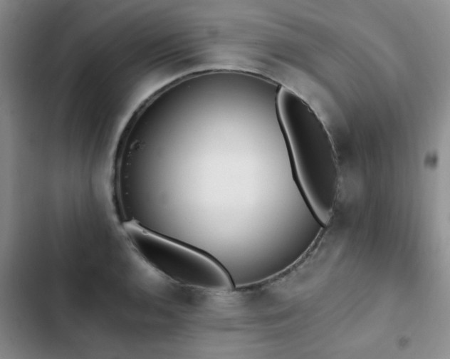X0000102831136200808181318