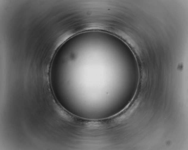 X0000102831137200808181318