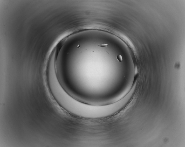X0000102831138200808181318