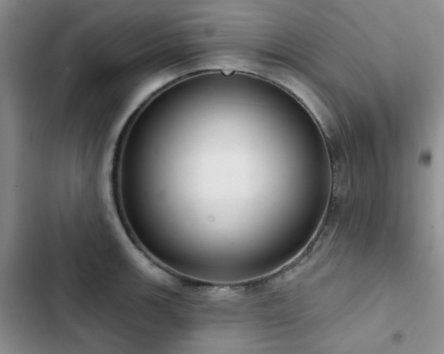 X0000102831139200808181318