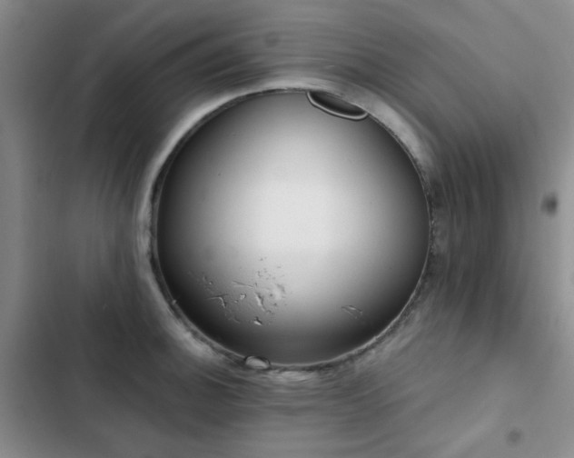 X0000102831140200808181318