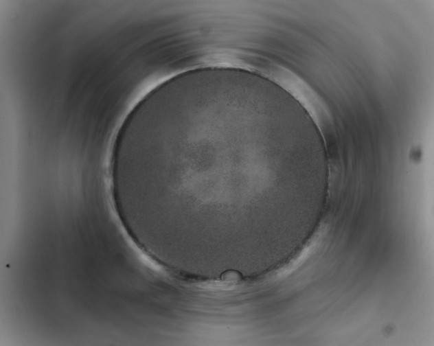 X0000102831141200808181318