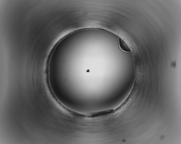 X0000102831142200808181318