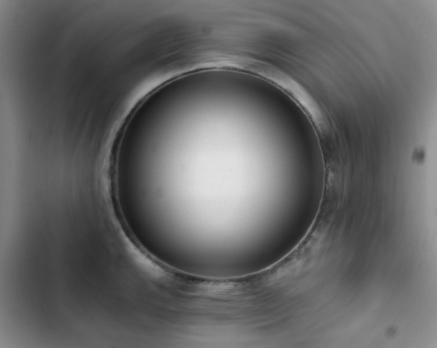 X0000102831143200808181318