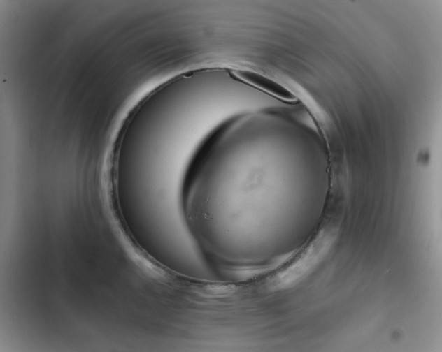 X0000102831144200808181318