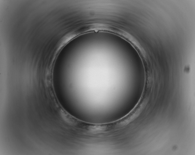 X0000102831145200808181318