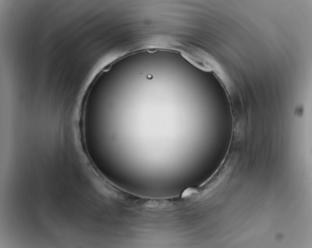 X0000102831146200808181318