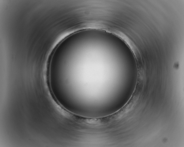 X0000102831147200808181318