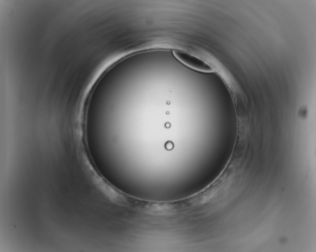 X0000102831148200808181318