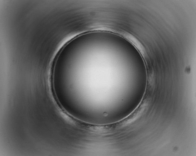 X0000102831149200808181318