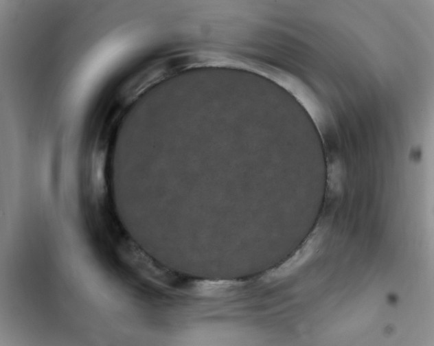 X0000102831150200808181318