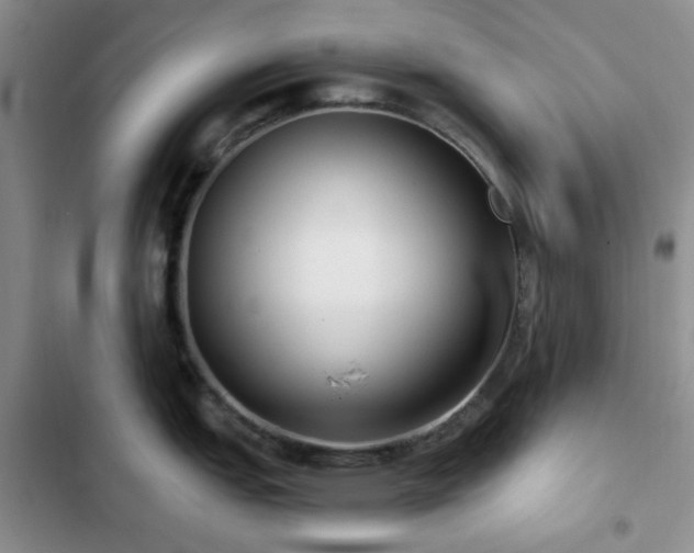 X0000102831151200808181318