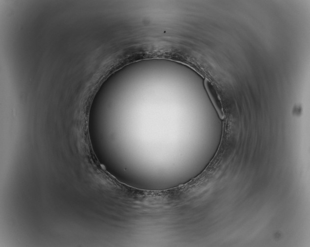 X0000102831153200808181317