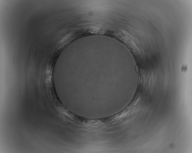 X0000102831154200808181317