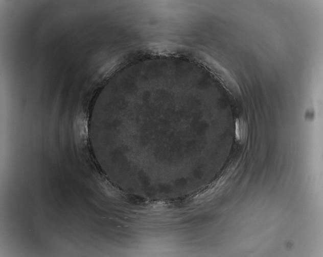 X0000102831155200808181317