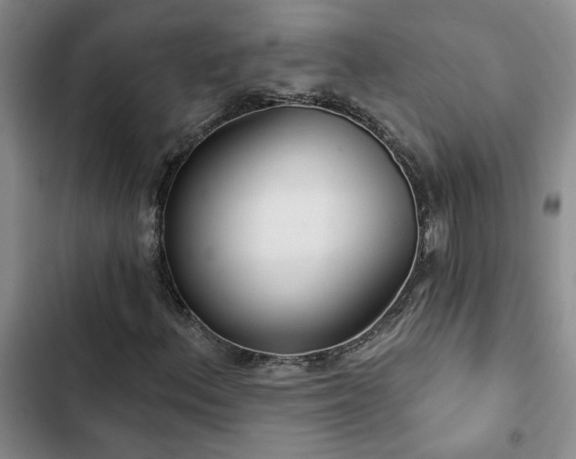 X0000102831156200808181317