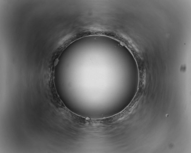X0000102831157200808181317