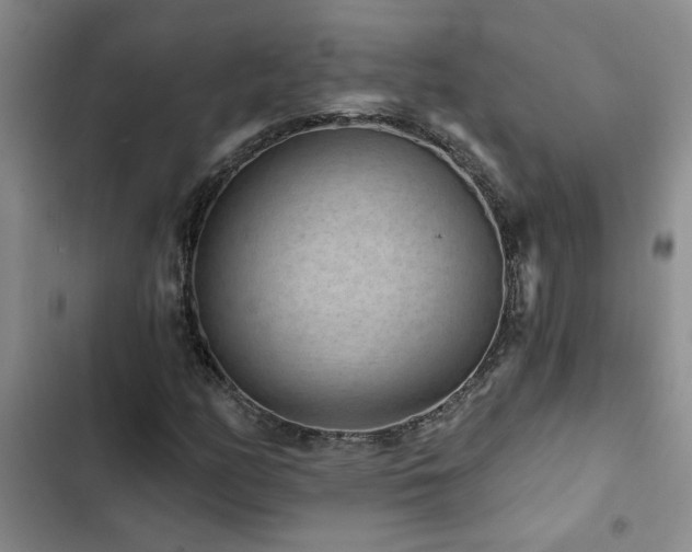 X0000102831158200808181317