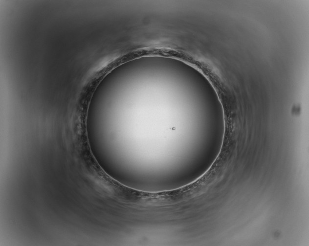 X0000102831159200808181317