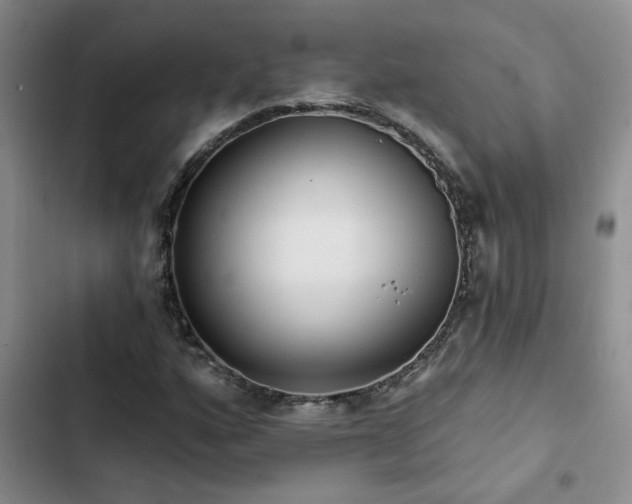X0000102831160200808181317