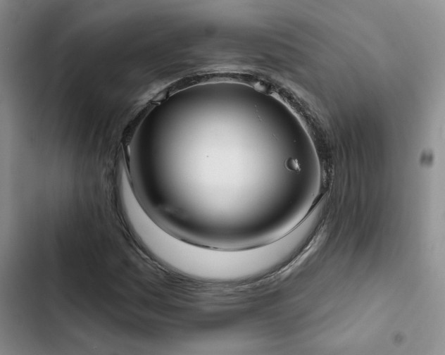 X0000102831161200808181317