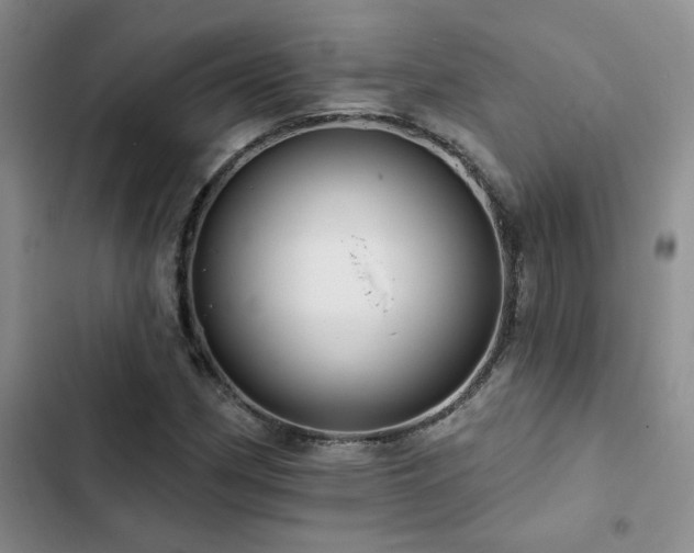 X0000102831162200808181317