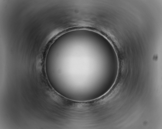 X0000102831163200808181317