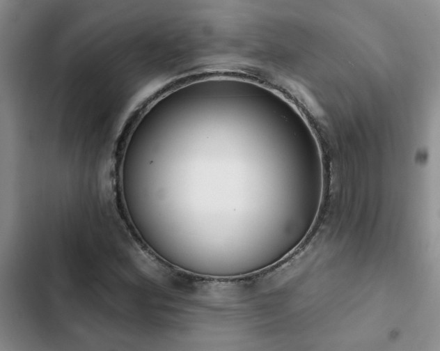 X0000102831164200808181317