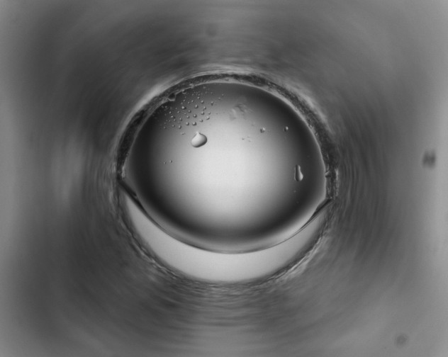X0000102831165200808181317