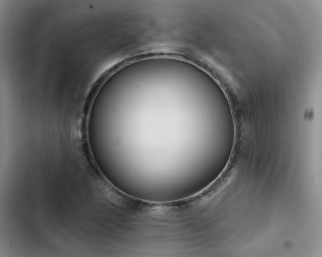 X0000102831166200808181317