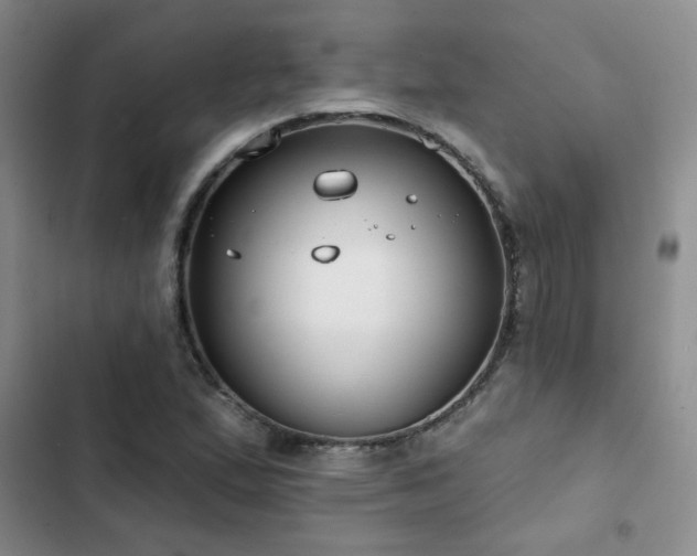 X0000102831167200808181317