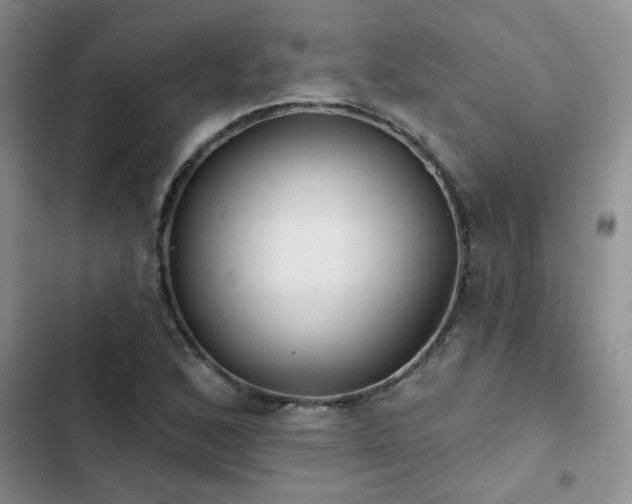 X0000102831168200808181317