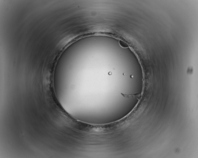 X0000102831169200808181317