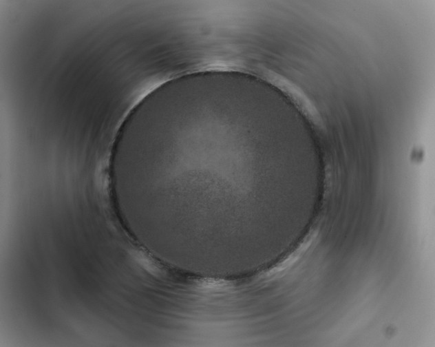 X0000102831170200808181317