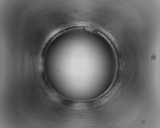 X0000102831171200808181317