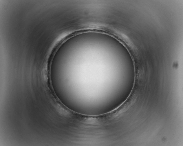 X0000102831172200808181317