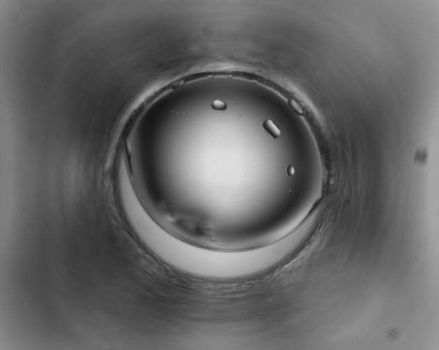 X0000102831173200808181317