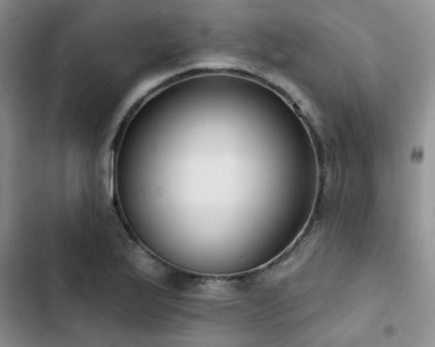 X0000102831175200808181317