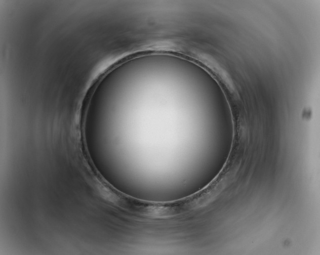 X0000102831176200808181317