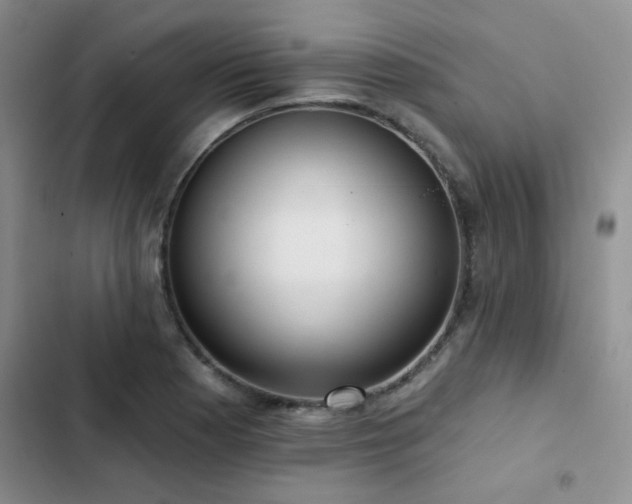 X0000102831177200808181317