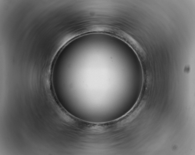 X0000102831178200808181317