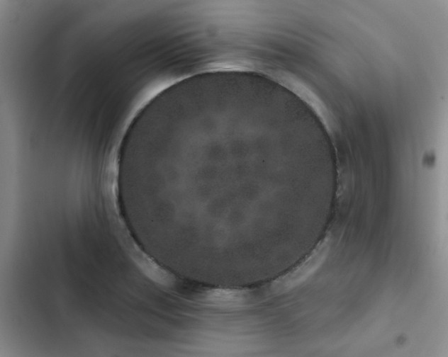 X0000102831179200808181317