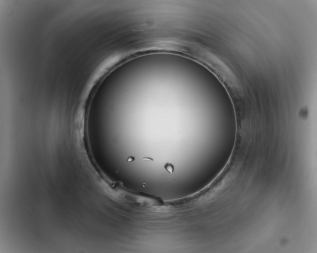 X0000102831180200808181317